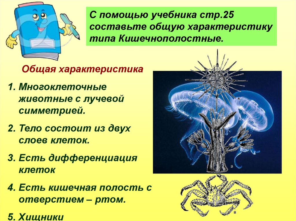 Значение кишечнополостных в жизни человека. Тип Кишечнополостные 7 класс. Особенности кишечнополостных 7 класс. Ароморфозы кишечнополостных. Кишечнополостные нервная система таблица.