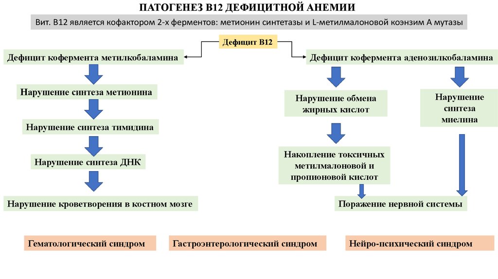 B12 дефицитная анемия схема лечения