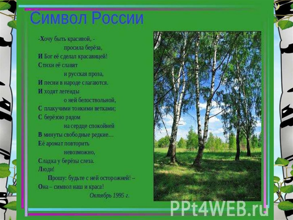 Идея стихотворения береза. Николай Михайлович рубцов березы. Стихотворение березы Николай рубцов. Стихотворение Рубцова березы. Стихотворение берёзы рубцов.