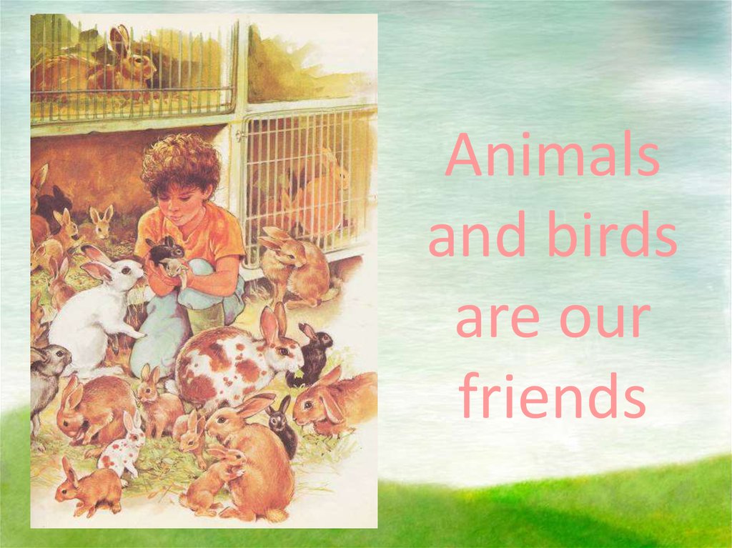 Animals and birds are our friends