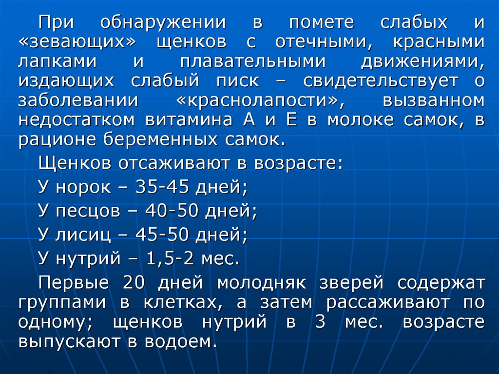 Кормление пушных зверей презентация