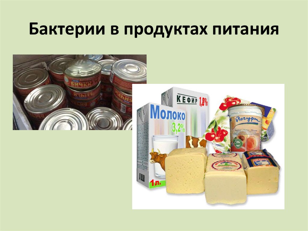 Сохранение продуктов питания проект