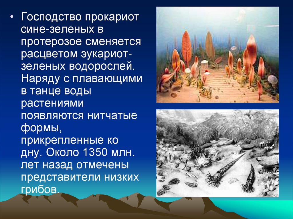 Эра презентация. Протерозойская Эра презентация 11 класс. Господство прокариот сменяется расцветом эукариот. Протерозой Расцвет эукариотных. Презентация на тему протерозойская Эра 9 класс по биологии.