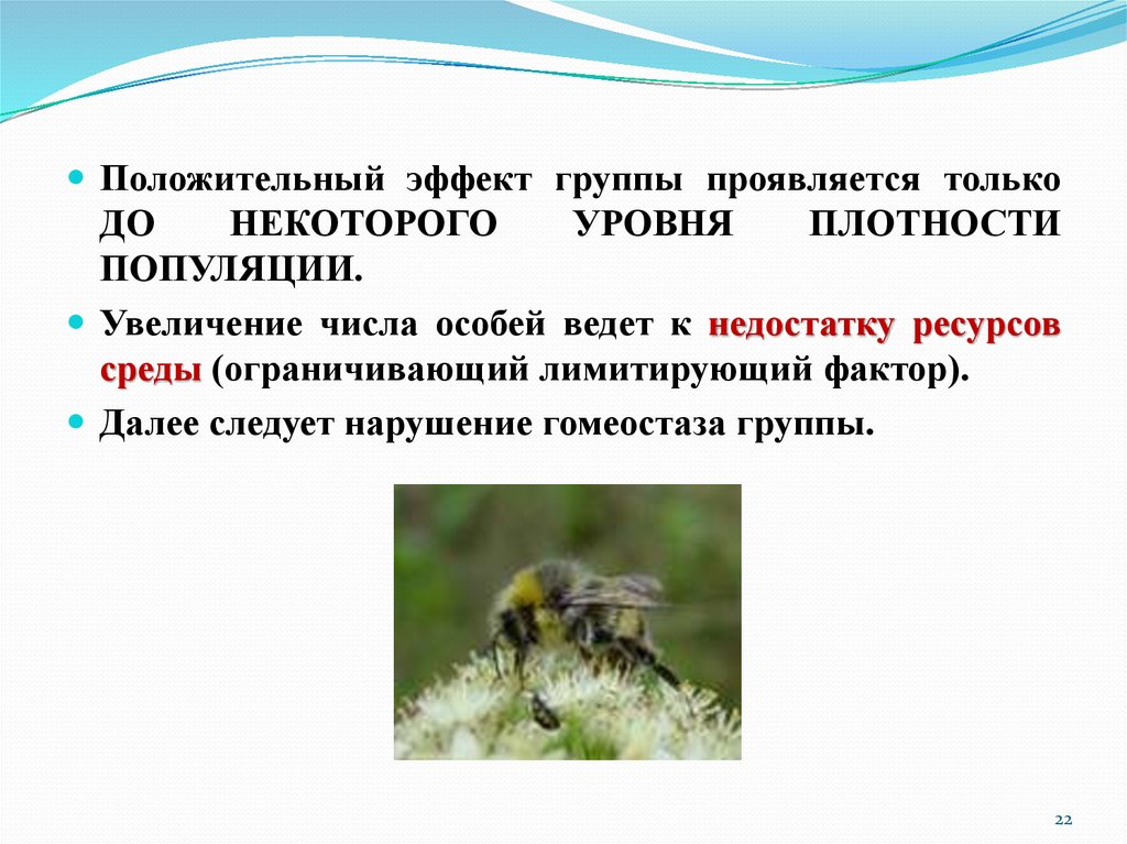 Популяция вид подвид особь. Для жаворонка зимой в подмосковном лесу лимитирующий фактор.