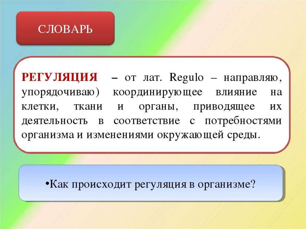 Регуляция. Регуляция это в биологии. Регуляция термин. Регуляция определение биология. Регуляция постоянства внутренней среды организма.