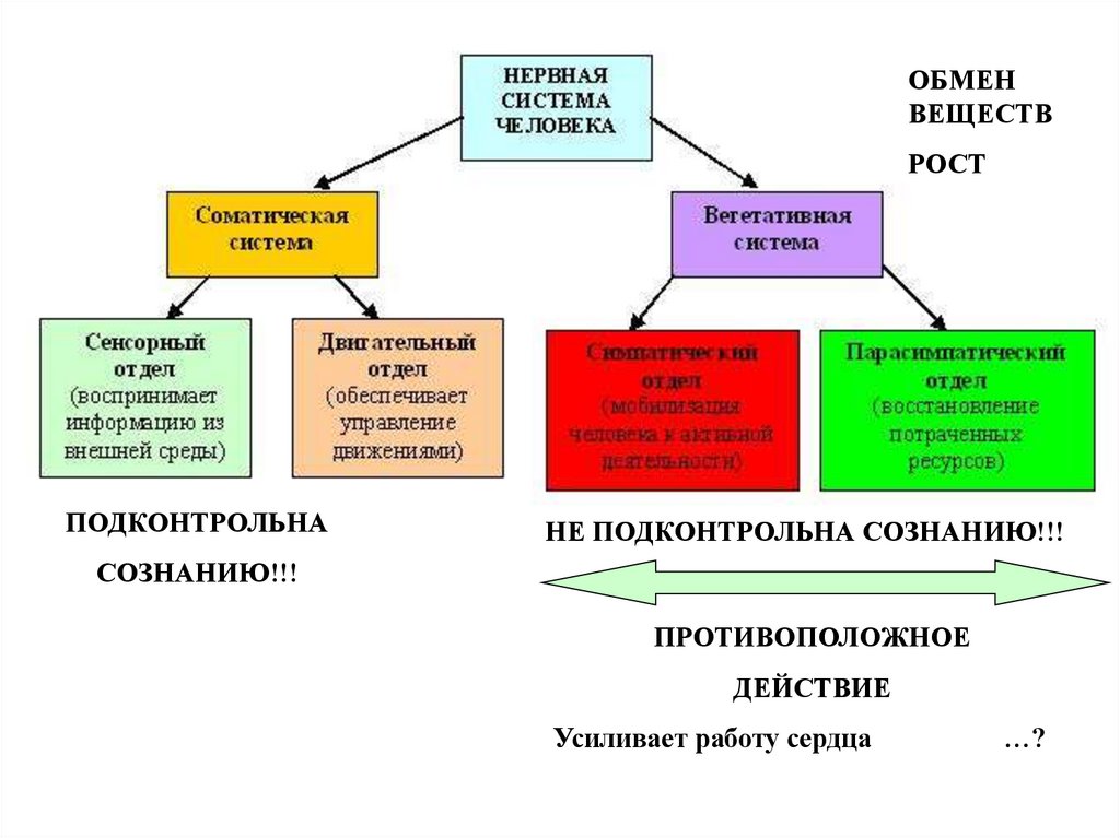 Система обеспечения человека. Факторы влияющие на гомеостаз человека. Регуляция гомеостаза в организме человека. Виды гомеостаза таблица. Схему «постоянство внутренней среды организма».