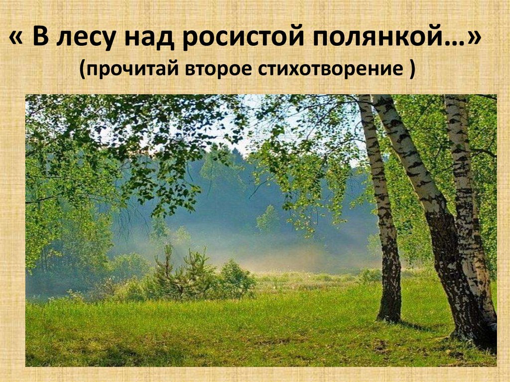 Маршак в лесу над росистой поляной сравнения