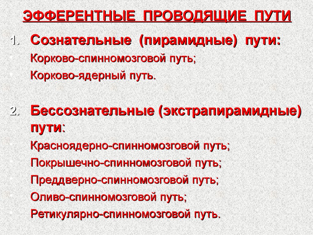 Проведена характеристика. Эфферентные проводящие пути. Эфферентные пирамидные пути. Эфферентные проводящие пути ЦНС. Особенности эфферентного пути.