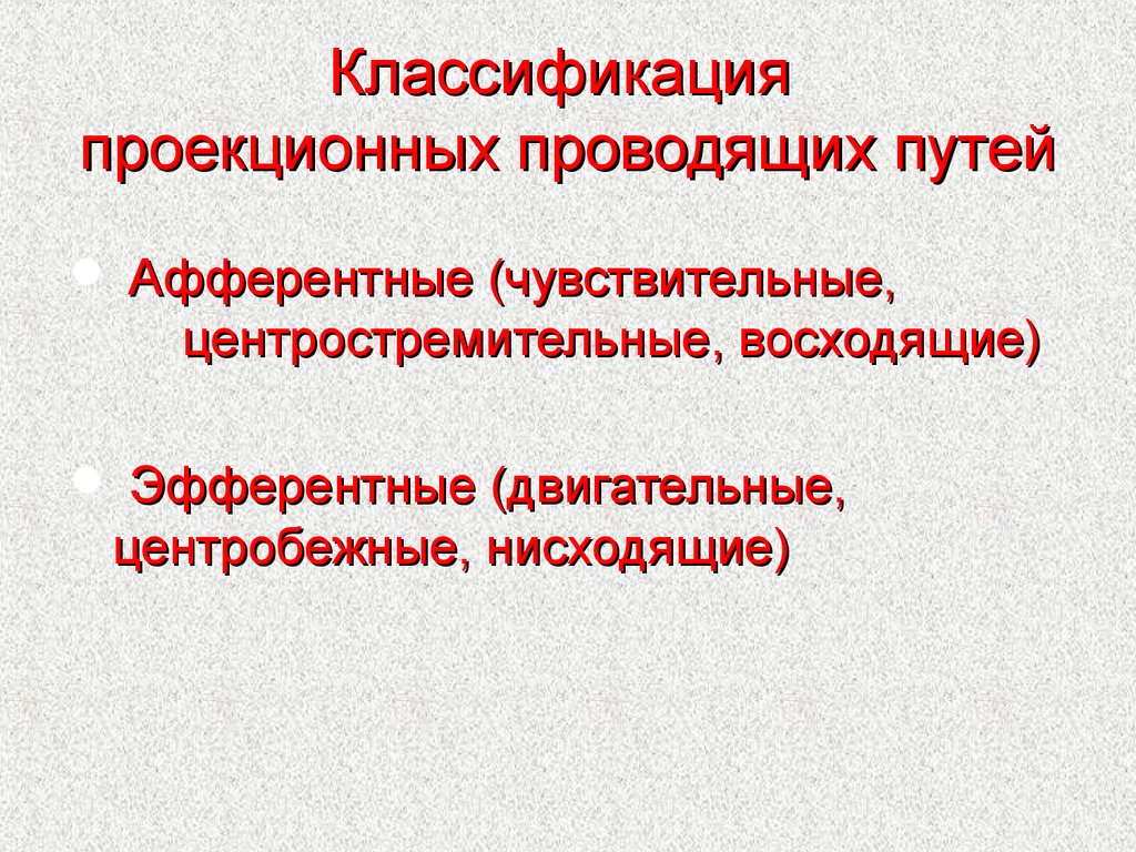 Афферентные и эфферентные пути. Классификация проводящих путей ЦНС. Афферентные и эфферентные проводящие пути ЦНС. Классификация проекционных проводящих путей. Классификация проводящих путей в ЦНС: афферентные.