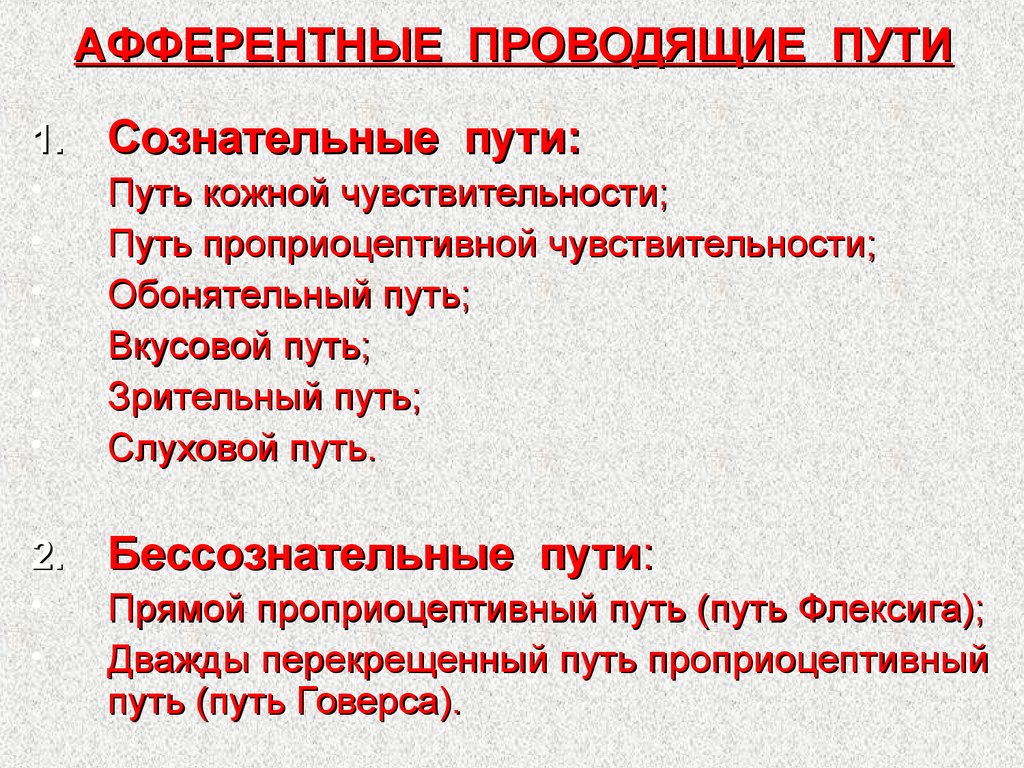 Афферентные и эфферентные пути. Афферентные пути. Афферентные проводящие пути. Сознательные афферентные проводящие пути.