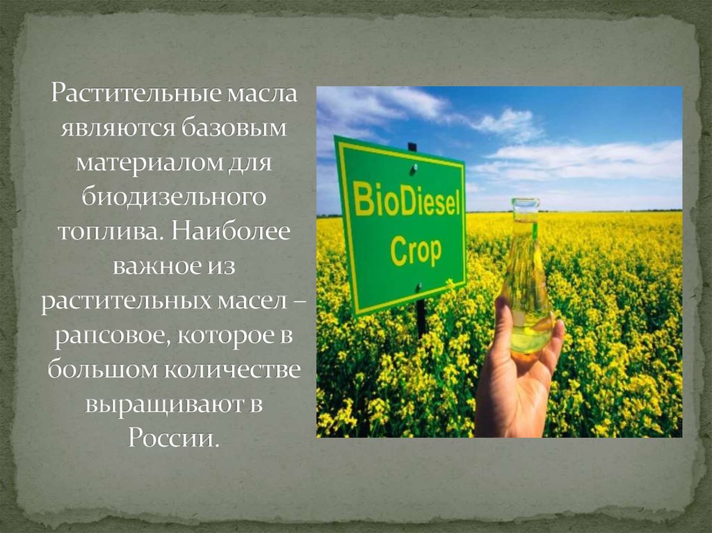 Какое топливо наиболее экологично. Международный день биодизельного топлива. Международный день биодизельного топлива 10 августа. Биодизельное топливо в России. Международный день биодизельного топлива открытки.