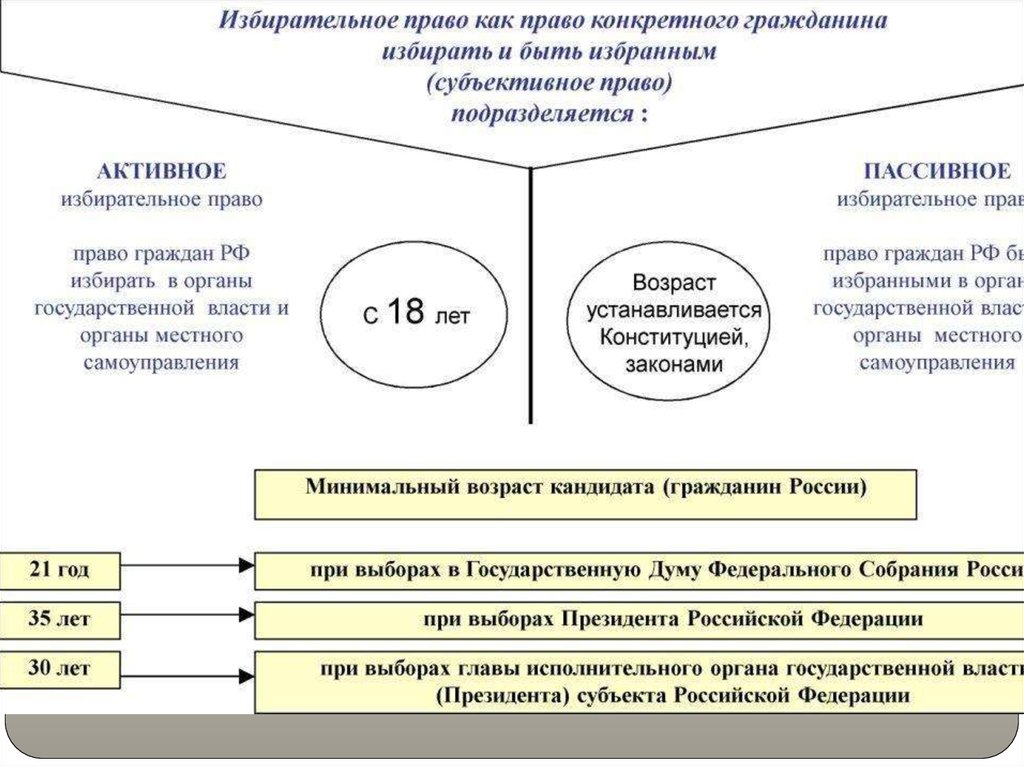Законодательство рф конспект. Избирательное право. Избирательное право в России.
