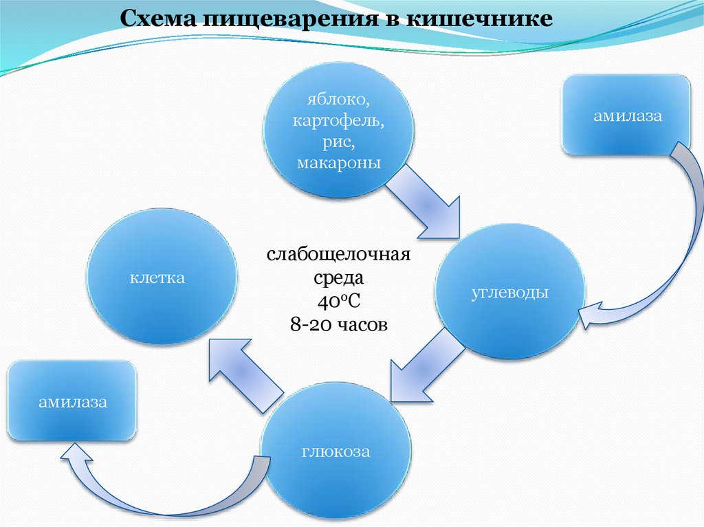 Глицерин сложное вещество