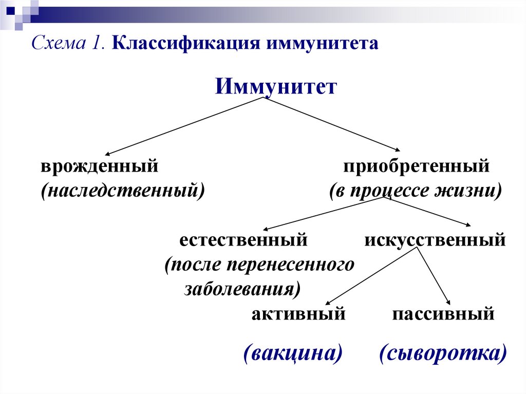 Схема виды иммунитета микробиология