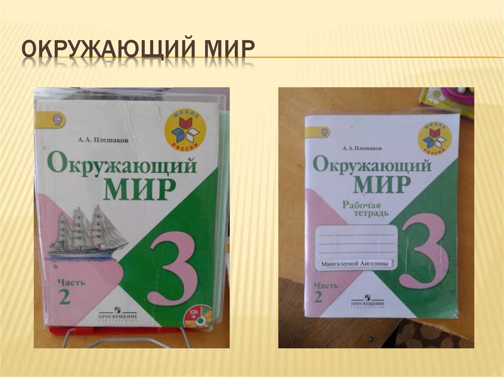 Окружающий мир