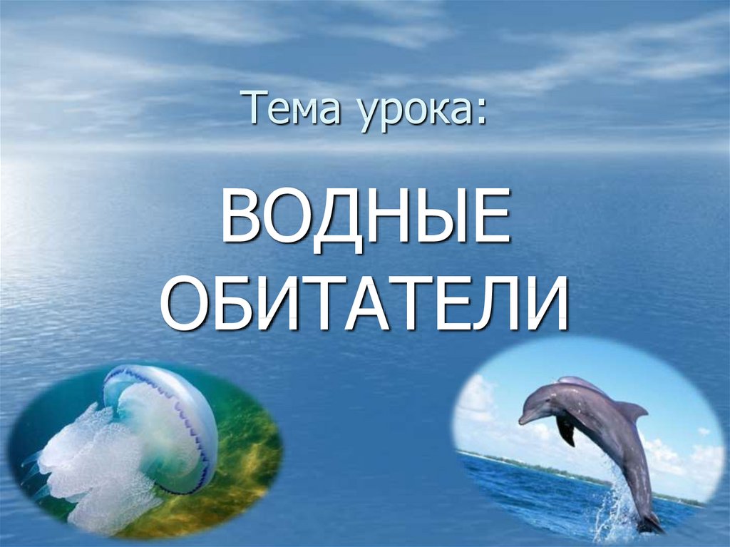 Вода биология 5 класс. Водные обитатели презентация. Сообщение на тему обитатели водной среды 5. Водные обитатели 5 класс. Биология 5 класс тема водные обитатели.