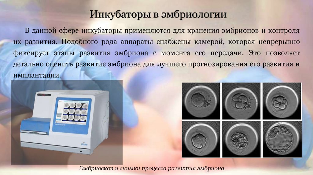 Эмбриоскоп. Инкубатор для эмбрионов эко. Со2 анализатор для инкубатора культивирования эмбрионов человека. Хранилище эмбрионов.