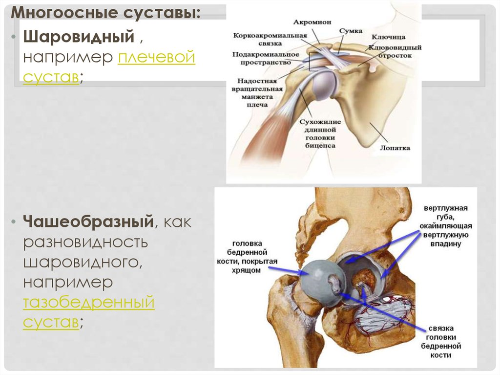 Сустав норма. Субакромиальный импинджмент-синдром плечевого сустава мрт. Импиджмент синдром плеча. Субакромиальный импиджмент синдром правого плечевого сустава. Импиджмент синдром рентген тазобедренного.