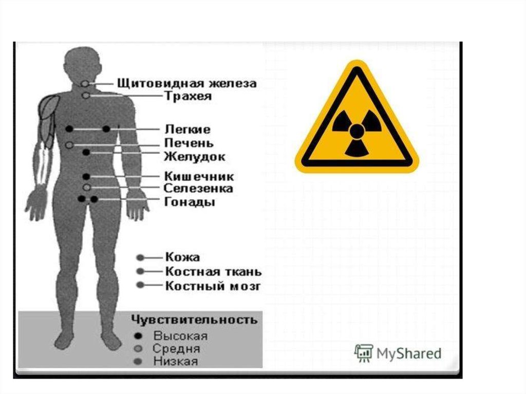 В чем причина негативного воздействия радиации