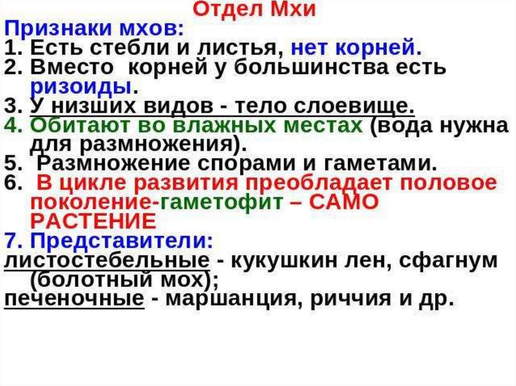 Отдел мхи. Признаки характерные для мхов. Для мхов характерно. Что у мхов вместо корней. Признак характерный только для мхов.