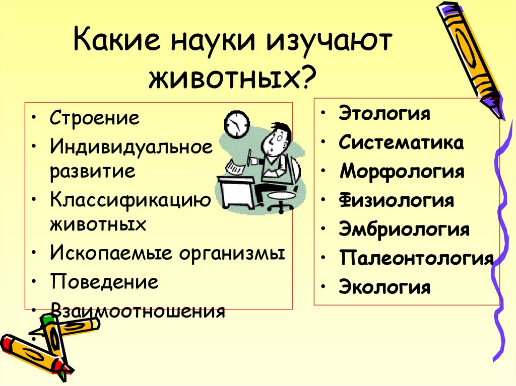 Наука которая рассматривает. Какие науки что изучают. Какая наука изучает животных. Какие науки каких животных изучают. Науки изучающие человека.