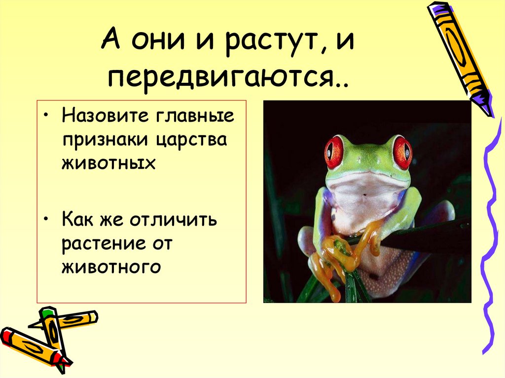 Животные конспект 7 класс. Вопросы по зоологии. Науки о разных животных. Тема урока Зоология. Науки изучающие животных и их признаки.