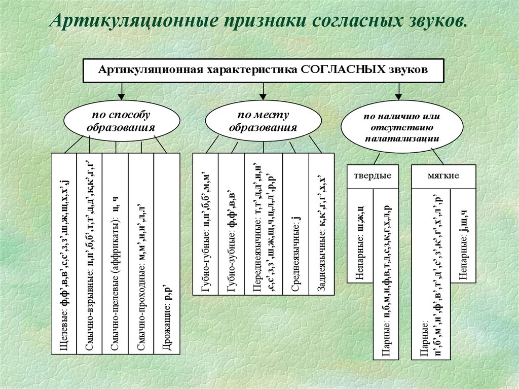 Признаки гласных. Классификация артикуляционных признаков звуков речи схема. Акустические признаки звуков. Артикуляционные признаки гласных звуков. Артикуляционные признаки согласных звуков.