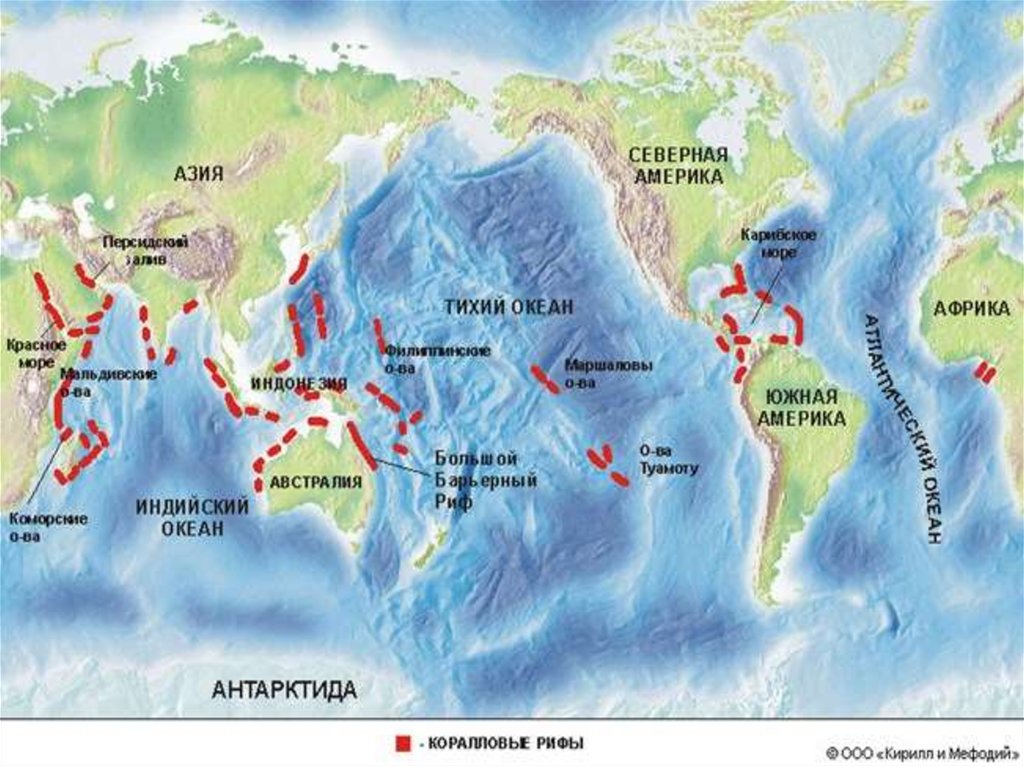 Карта распространения коралловых рифов