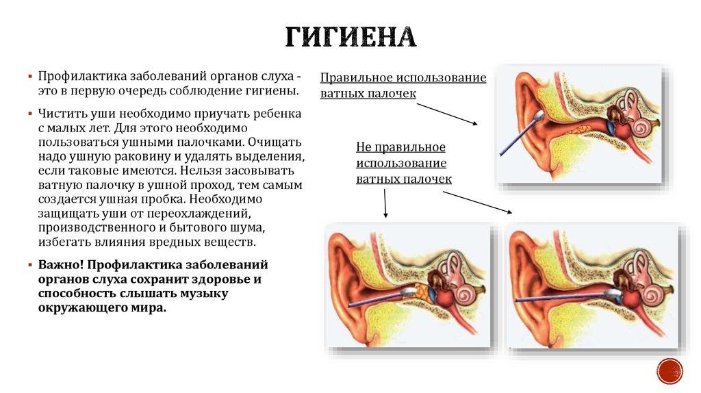 Заболевания слуха. Нарушение органа слуха. Заболевания органов слуха. Профилактика заболеваний органов слуха. Предупреждение заболеваний уха.