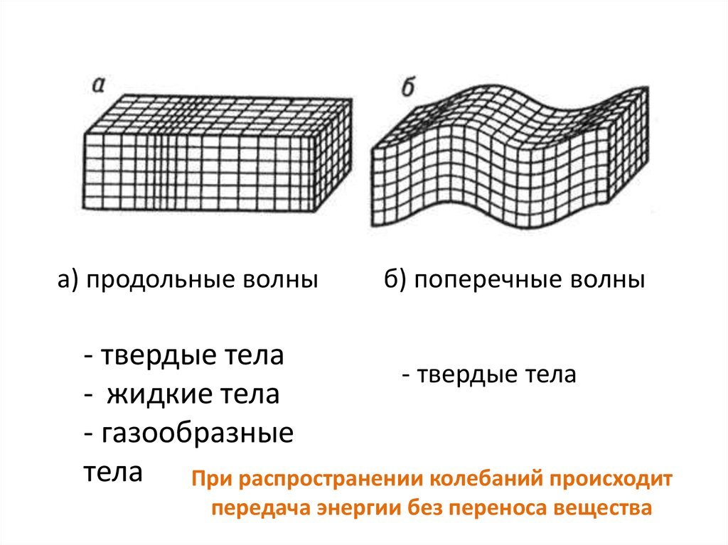 Продольное изображение. Продольные и поперечные механические волны. Продольные и поперечные волны. Примеры продольных механических волн. Продольные и поперечные волны рисунок.