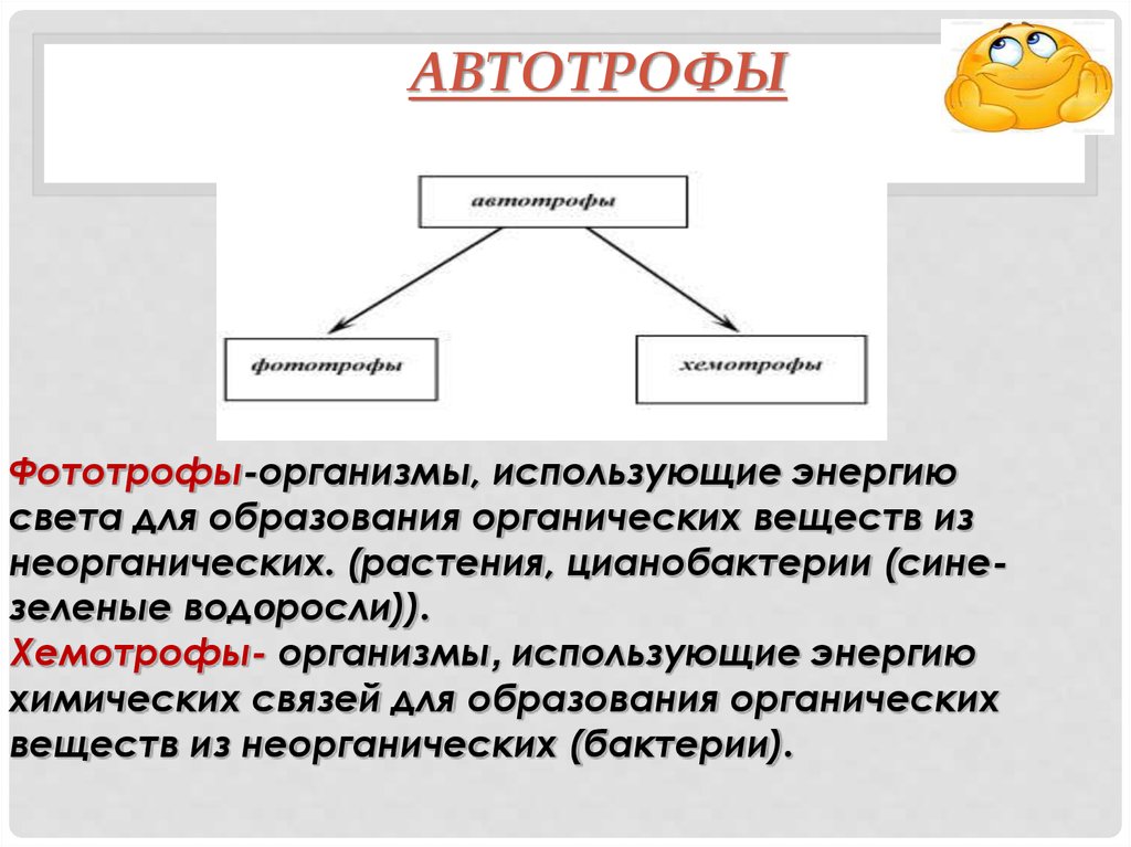 Организмы использующие органические вещества. Типы автотрофов. Автотрофы фототрофы хемотрофы. Фототрофы хемотрофы сапротрофы. Автотрофы гетеротрофы фототрофы.