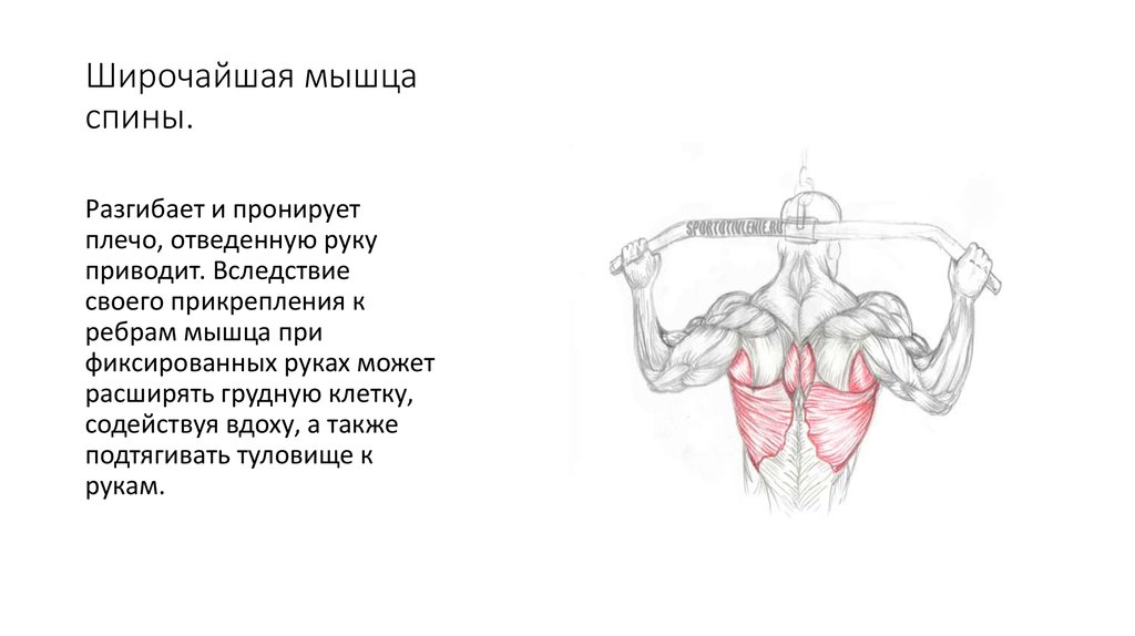 Трудились не разгибая спины план история