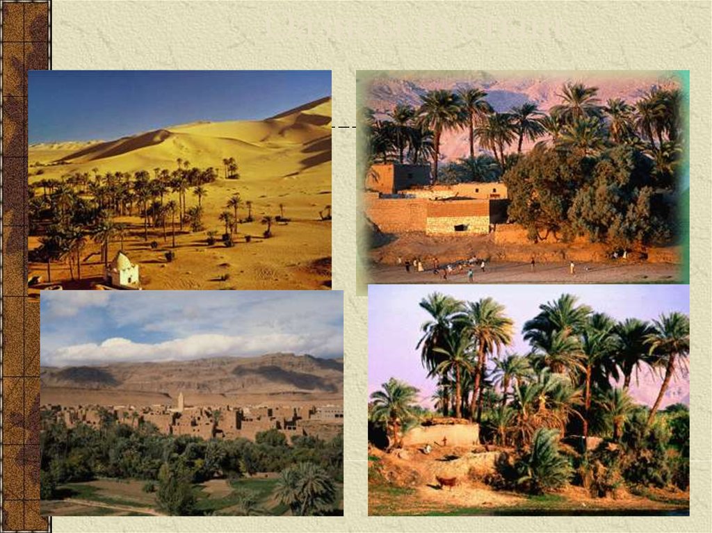 Оазисы пустынь