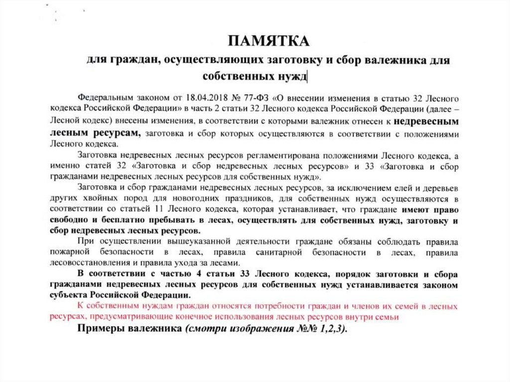 Закон о ресурсах. Памятка по сбору валежника. Памятка для граждан осуществляющих заготовку валежника. Памятка о сборе валежника. Памятка валежник для граждан.