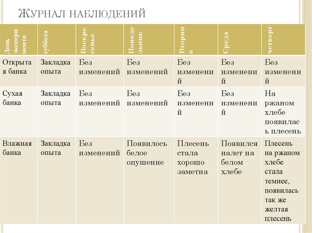 Журнал наблюдения