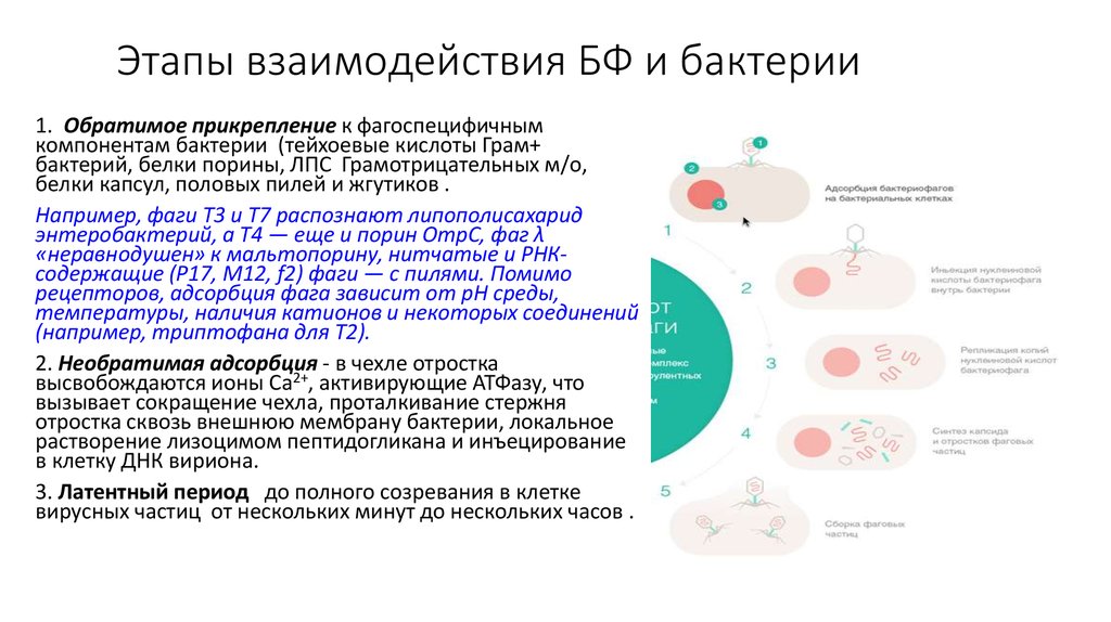 Этапы взаимодействия