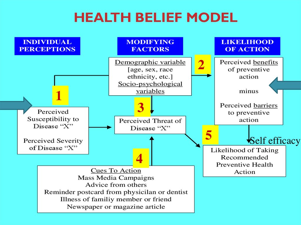 HEALTH BELIEF MODEL