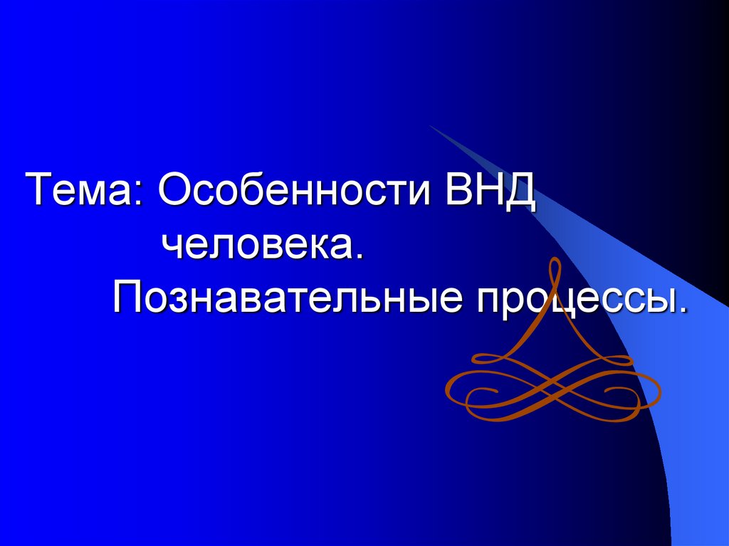 Презентация по биологии 8 класс особенности высшей нервной деятельности познавательные процессы