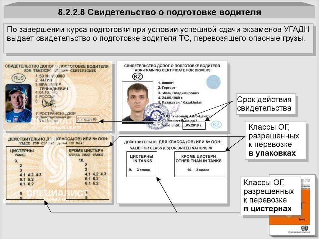 8.2.2.8 Свидетельство о подготовке водителя