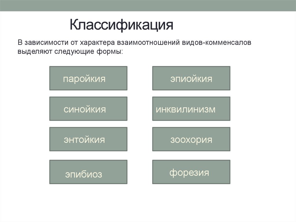 Классификация