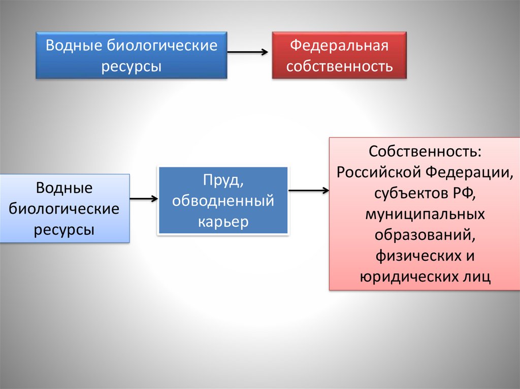 Право собственности на водные биоресурсы. Водное право.