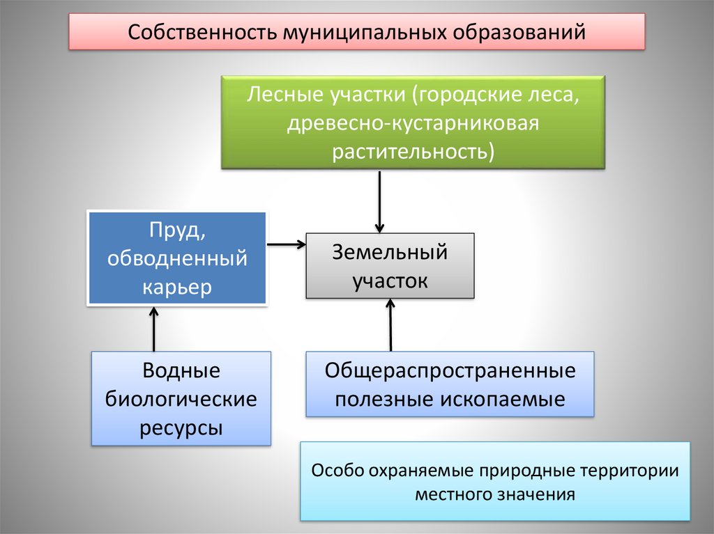 Муниципальная собственность на лесные участки. Лесные участки муниципальной собственности. Цели образования лесных участков. Общераспространенные представления.