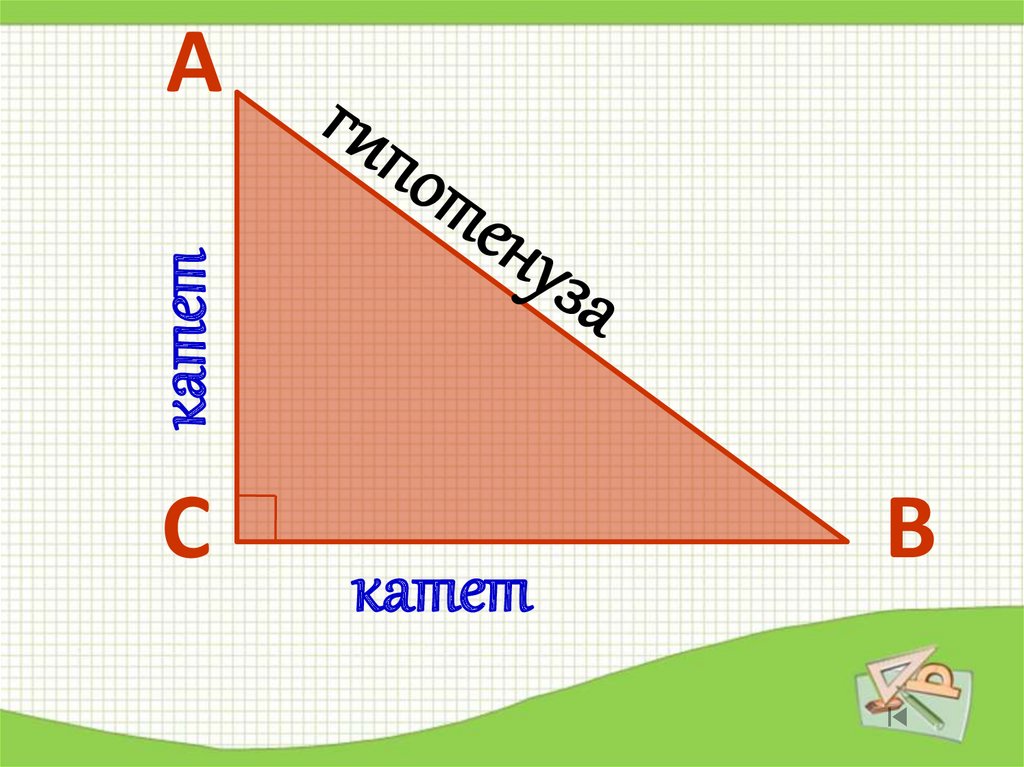 Гипотенуза острого треугольника. Катет и гипотенуза. Катет и гипотенуза прямоугольного треугольника. Катет треугольника. Катеты и гипотенуза треугольника.