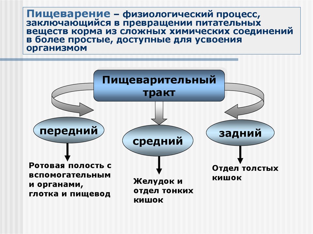 Образование это процесс состоящий