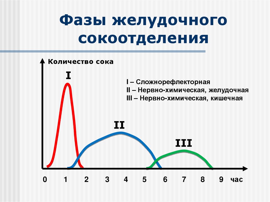 Схема желудочной фазы регуляции желудочной секреции