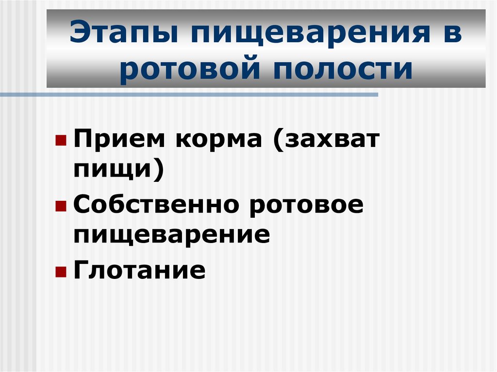 Этапы пищеварения в ротовой полости