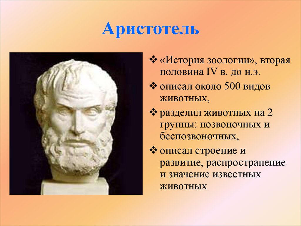 Чем знаменит аристотель. Аристотель философ. Исторический портрет Аристотеля. Аристотель Великий греческий философ. Аристотель ученый.