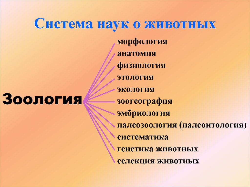 Изучает строение животных. Науки о животных. Зоология наука о животных. Разделы наук о животных. Науки которые изучают животных.