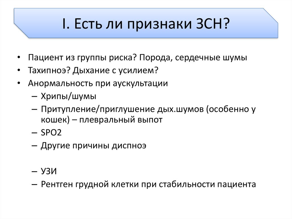 Есть ли симптомы. Признаки ли. Породы животных группы риска по болезням сердца. . Анормальность и болезнь.. Породы собак группы риска по болезням сердца.