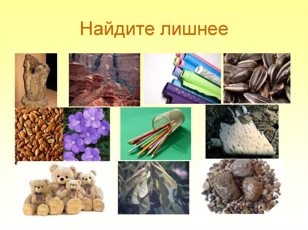 Найдите лишнее